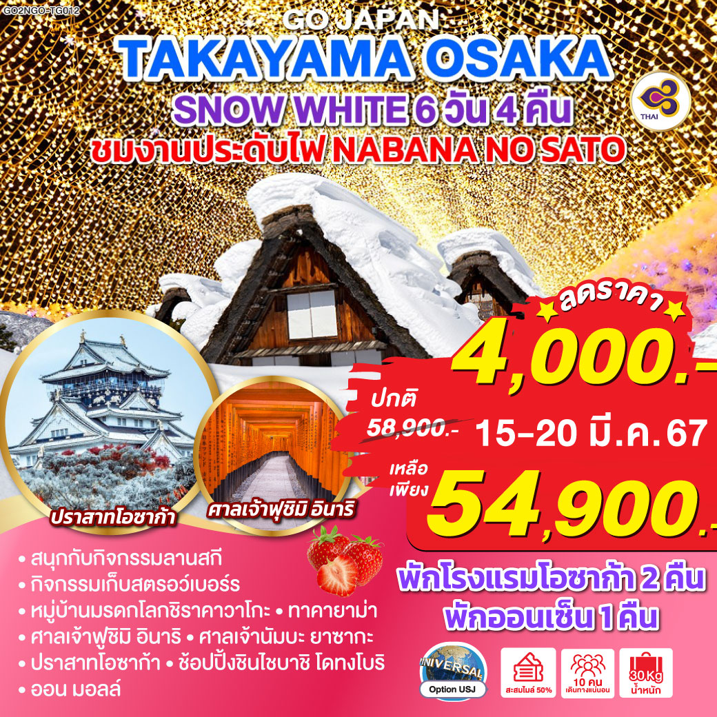 สนุกกับกิจกรรมลานสกี - กิจกรรมเก็บสตรอว์เบอร์รี - ชมงานประดับไฟ Nabana no sato Winter Illumination - หมู่บ้านมรดกโลกชิราคาวาโกะ – ทาคายาม่า - ศาลเจ้าฟูชิมิ อินาริ – ศาลเจ้านัมบะ ยาซากะ - ปราสาทโอซาก้า- ช้อปปิ้งชินไชบาชิ โดทงโบริ - ออน มอลล์ - พักโรงแรมในโอซาก้า 2 คืน พักออนเซ็น 1 คืน